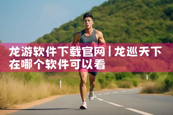 龙游软件下载官网