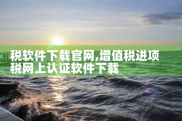 税软件下载官网