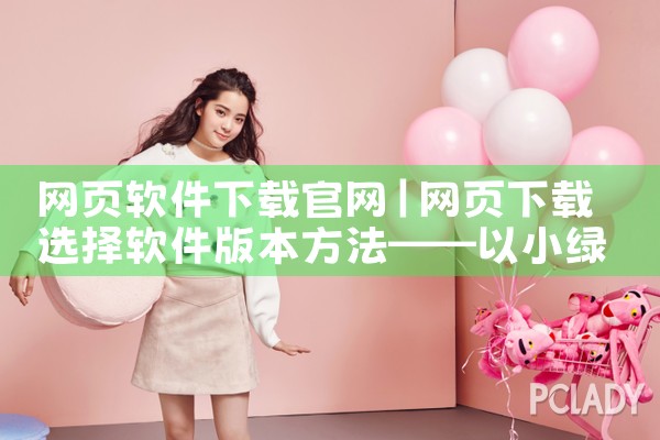 网页软件下载官网