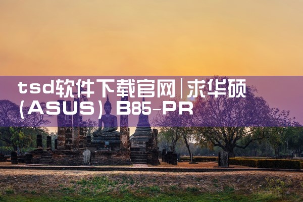 tsd软件下载官网