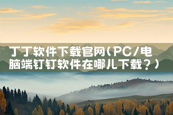 丁丁软件下载官网