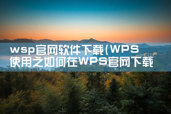 wsp官网软件下载