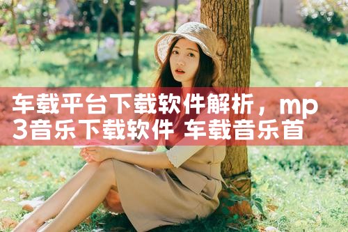 车载平台下载软件解析
