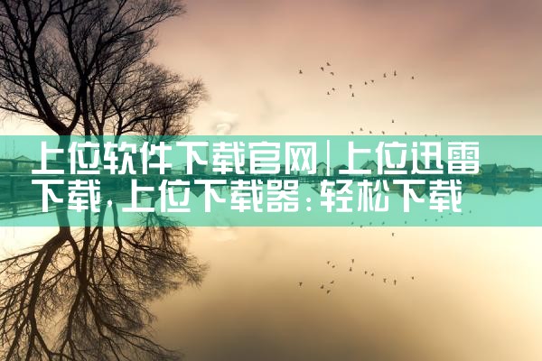 上位软件下载官网