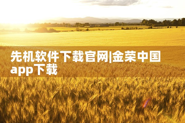 先机软件下载官网