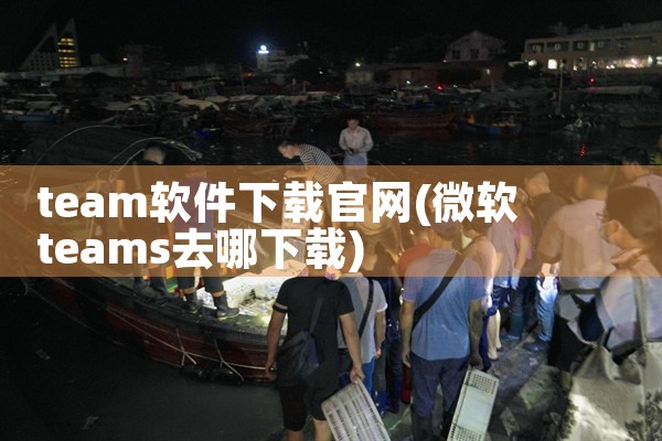 team软件下载官网