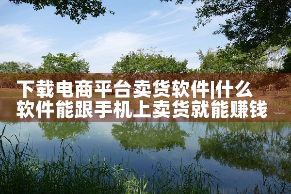 下载电商平台卖货软件