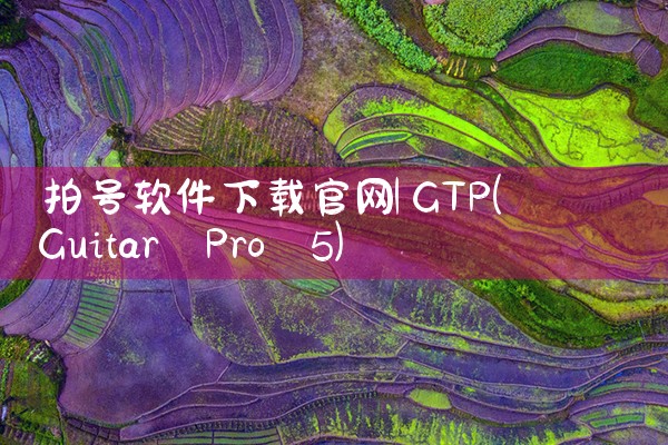 拍号软件下载官网